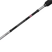 Penn Pursuit V Spinning Combo 8ft/20-40g
